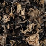 88754cef31dfad295d82e418fac40bcc