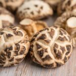 215644ca1c71fd9d1f349a34f0f53917