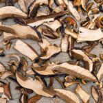 3cdb9fcac9034b7e52e4e041e087c2e2