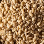 2d4bc83c8497c4e8b2b5cbbfe2545295